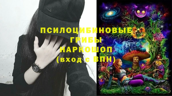 сатива Аркадак
