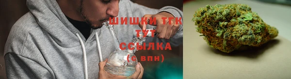 сатива Аркадак