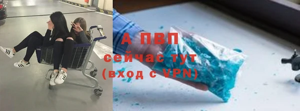 сатива Аркадак