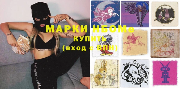 сатива Аркадак